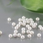 Perle seashell 3mm, semigaurite (1)