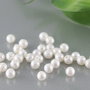 Perle seashell 3/4mm, semigaurite (1)