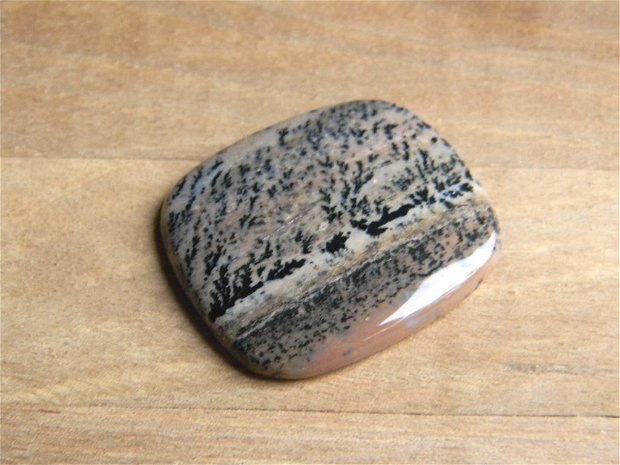 Caboson opal dendritic (C51)
