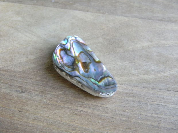 Caboson sidef Paua Shell (C52)