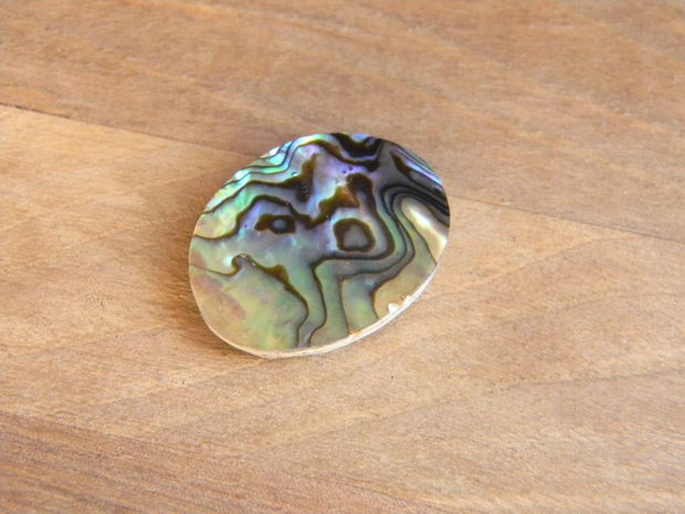 Caboson sidef Paua Shell (C53)