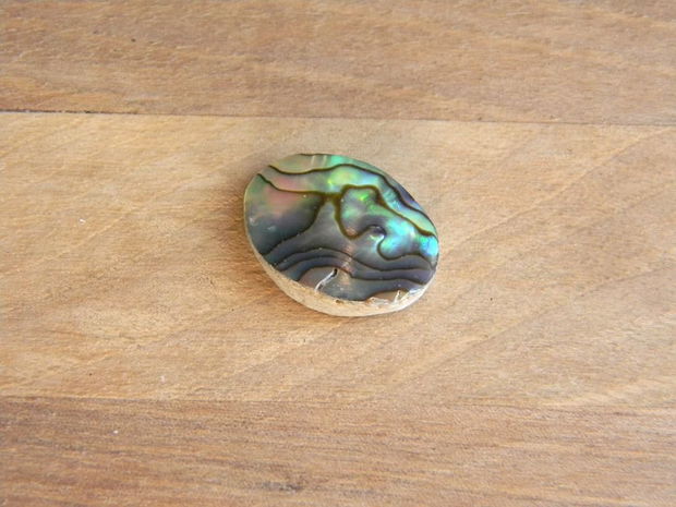 Caboson sidef Paua Shell (C53)