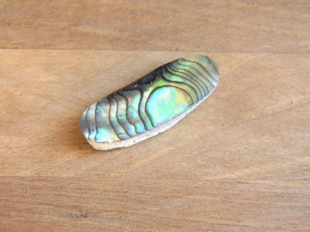 Caboson sidef Paua Shell (C53)