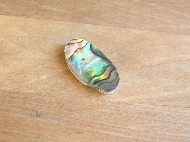 Caboson sidef Paua Shell (C53)