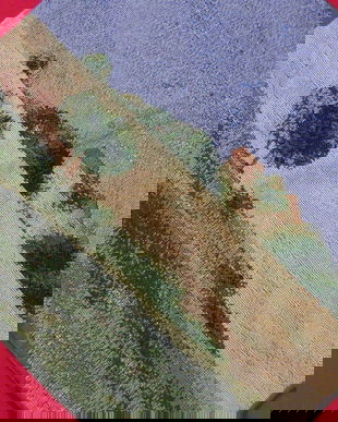 Husa perna decorativa