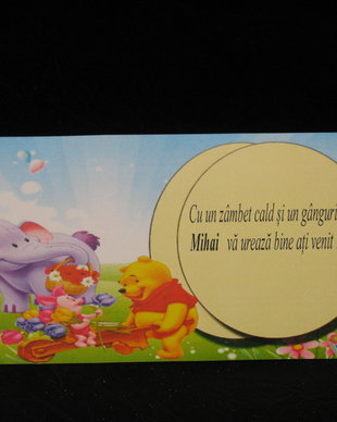 Plic de bani botez cu Winnie