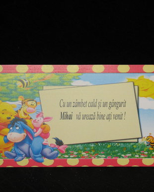 Plic de bani botez cu Winnie