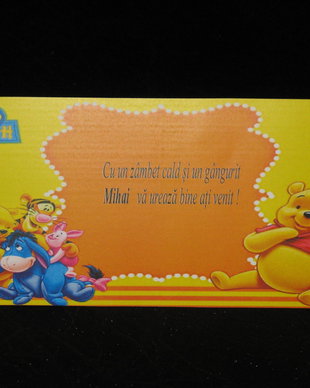 Plic de bani botez cu Winnie