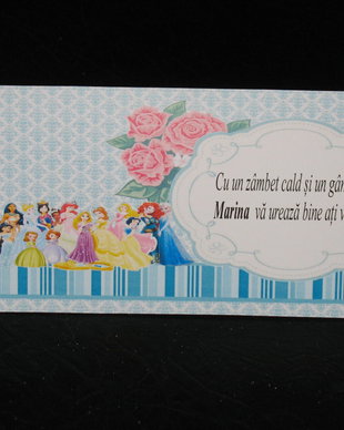 Plic de bani botez tematica printese