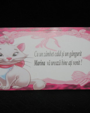 Plic de bani botez tematica pisicuta Marrie
