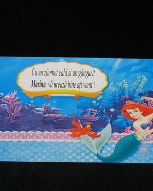 Plic de bani botez Ariel
