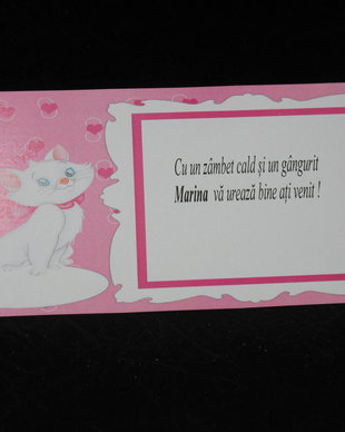Plic de bani fetita tematica pisica Marie