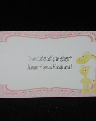 plic de bani botez fetita , tematica girafe