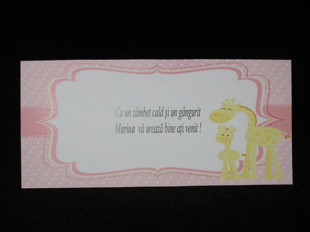 plic de bani botez fetita , tematica girafe