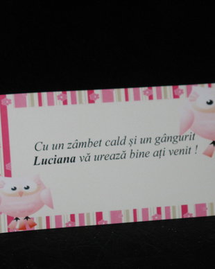 Plic de bani botez gemene