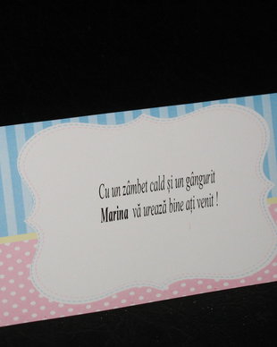 Plic de bani botez gemeni