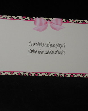 Plic de bani botez fetita
