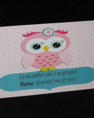Plic de bani botez tematica bufnita