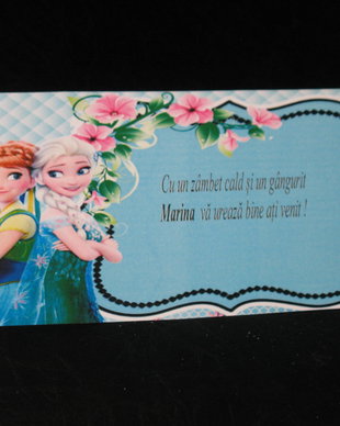 Plic de bani botez tematica Frozen