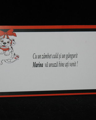 Plic de bani botez tematica Dalmatieni