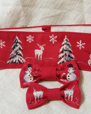 Set brâu şi papioane 1+2