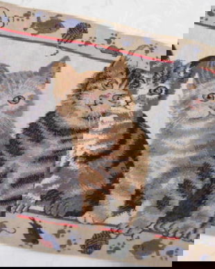 rez.Placemat cu pisoiasi