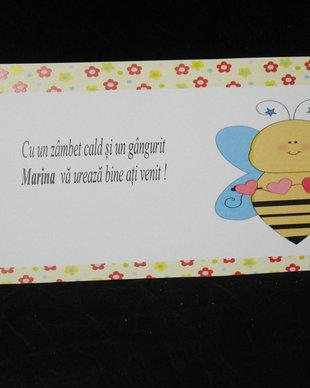 Plic de bani botez cu albinuta