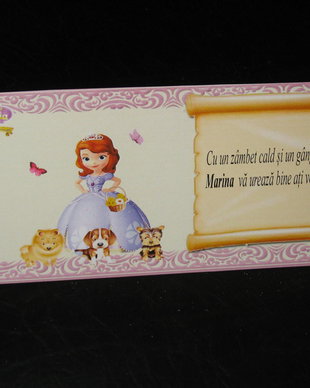 Plic de bani botez fetita