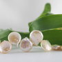 Perle cultura  12~16x9~10mm, cod P33 (1)