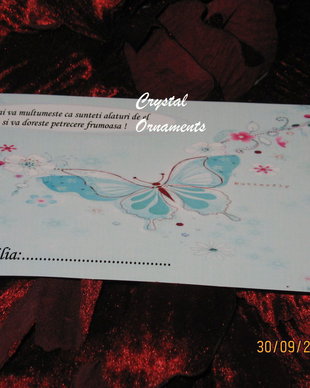 Plic de bani botez