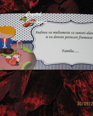 Plic de bani botez little prince