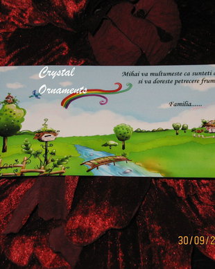 Plic de bani botez