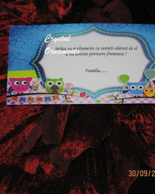 Plic de bani botez pasarele