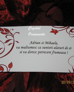 Plic de bani nunta