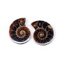 Set 2 jumatati pereche - Amonit fosil - 6771-4
