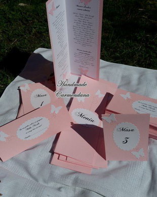 Set papetarie botez tematic fluturi