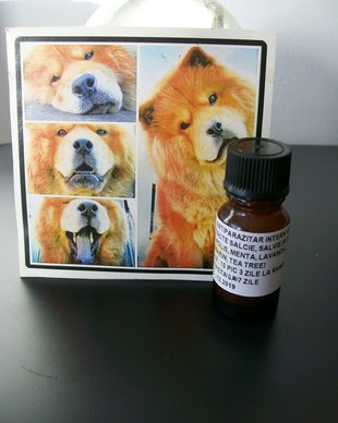 ANTIPARAZITAR  NATURAL INTERN  VETERINAR -NOU