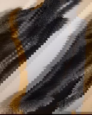 GULER DE BLANA  NATURALA  CHINCHILLA CU  VULPE