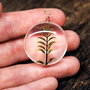 Pandant planta conservata intre domuri de sticla