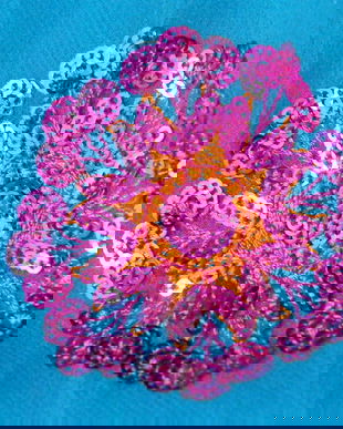 Esarfa-Sari indian-half saree