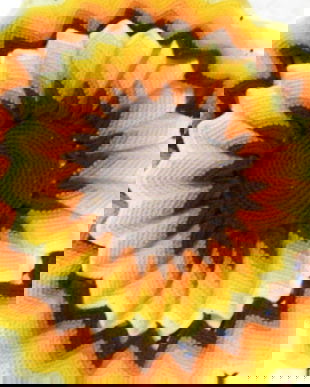 Husa perna crosetata