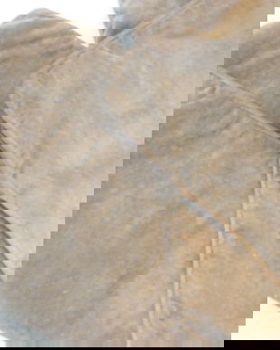 Set 2 huse catifea bej