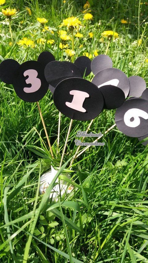 Numere de masa Minnie  / Mikey Mouse