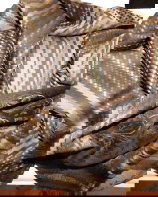 SAL FOARTE MARE SPANIA    LINA   100 %