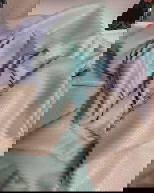 SAL NOU ESPRIT ,  SUPERB