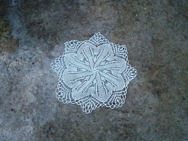 Dantela119
