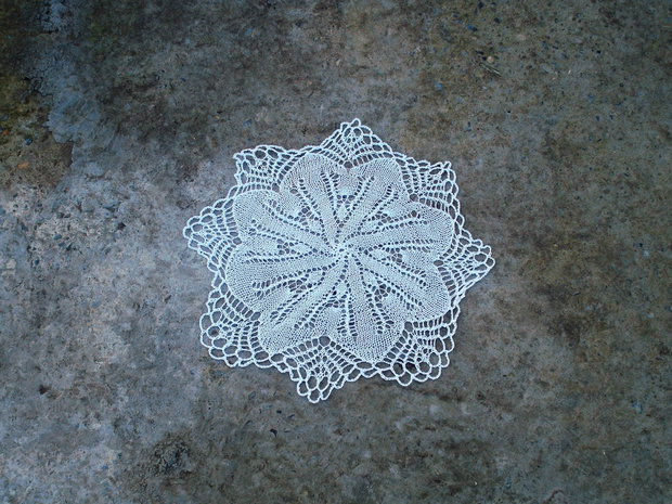 Dantela119