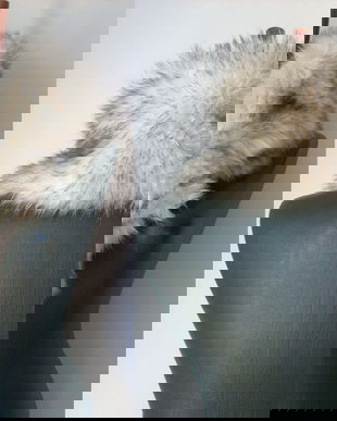 GULER BLANA ARTIFICIALA