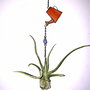Decoratiune vitraliu cu Tillandsia