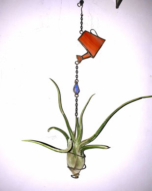 Decoratiune vitraliu cu Tillandsia